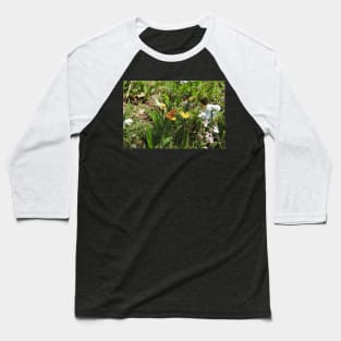 Nature, gifts, butterfly, Thore's Fritillary Butterfly, Natures Grace Baseball T-Shirt